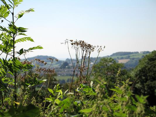 Surrounding countryside II